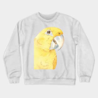 golden conure watercolor ararajuba painting Crewneck Sweatshirt